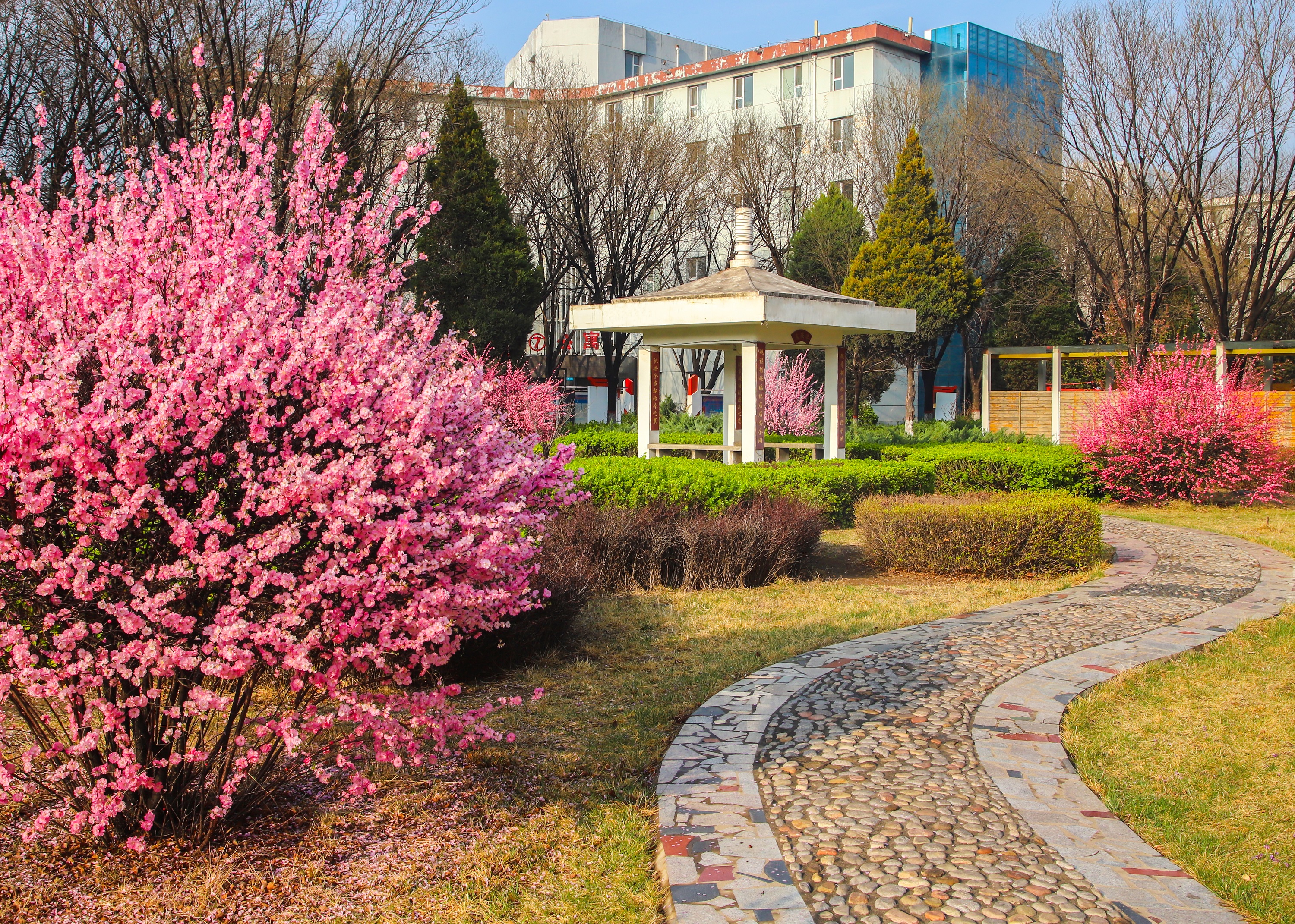 常村春景